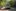 transportation asset management